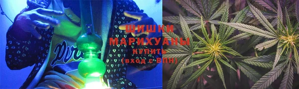 индика Балабаново