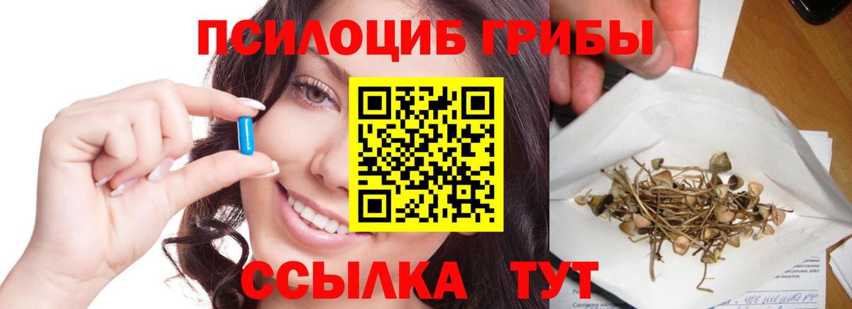 Псилоцибиновые грибы Psilocybe Острогожск