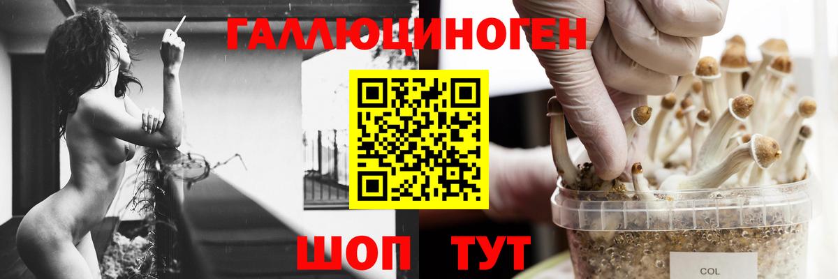 Галлюциногенные грибы мицелий  Галлюциногенные грибы GOLDEN TEACHER  Острогожск  что такое   Вход с VPN 