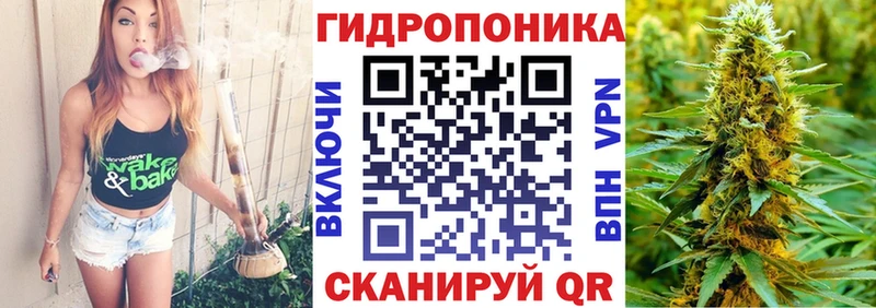 Канабис план  Острогожск 